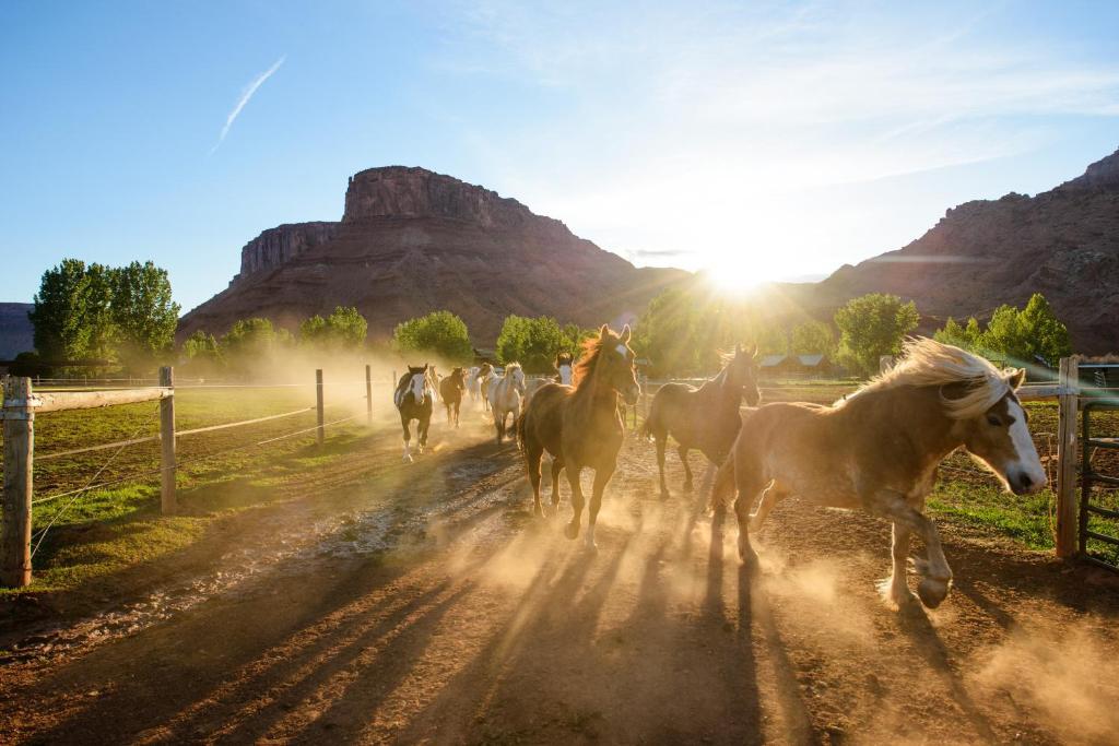 Sorrel River Ranch Resort & Spa Moab Exterior foto